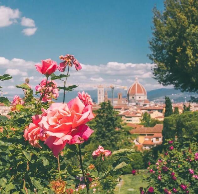 塔羅測他放下我了么 塔羅測他放下我了嗎?