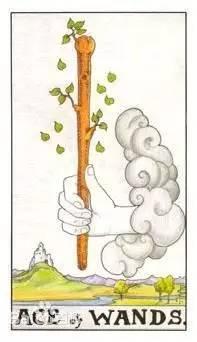 塔羅占卜：未來一個月的工作運勢會怎樣？給你一個明確的方向