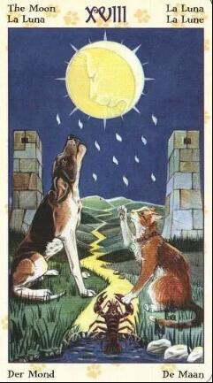 塔羅牌愚者 正位