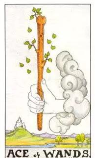 塔羅牌權杖王牌
