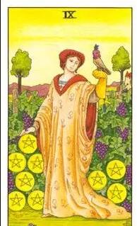 塔羅牌星幣九