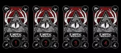 塔羅牌占卜你在愛情中出現的盲點是什么？