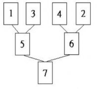 塔羅牌陣：戀人之樹牌陣