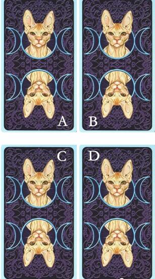 塔羅牌占卜什么星座最容易被你吸引