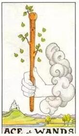 塔羅測試近期會有什么好事發生?