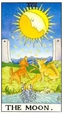 塔羅牌月亮正位逆位愛情