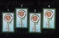 塔羅測試他偷偷關注我嗎?有沒有喜歡的人