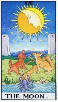 塔羅他為什么不回信息,他的想法是什么!