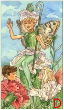 塔羅占卜我的婚姻走勢 婚姻會一帆風順嗎？