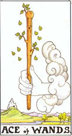 塔羅權杖一正位/逆位 愛情事業財運解讀