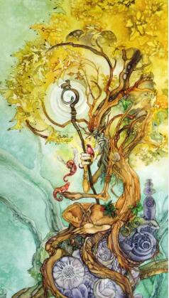 塔羅占卜三年后會有多富有