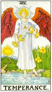 塔羅占卜前任恨我嗎