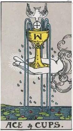 塔羅測他想和我發展么?未來的感情走向