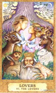 塔羅占卜我會離婚嗎