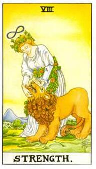 塔羅占卜考試可以順利通過嗎