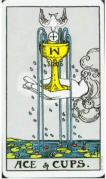 塔羅我在他心中的位置,他心里是怎么打算