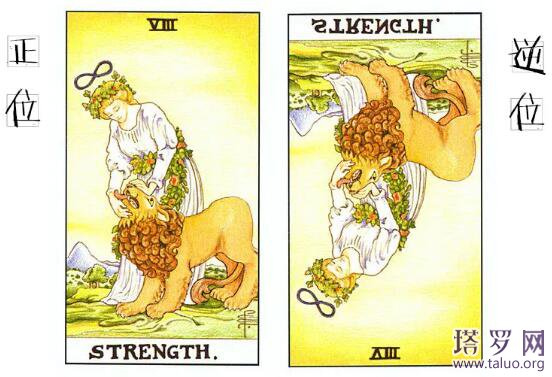 周易和塔羅牌的區別