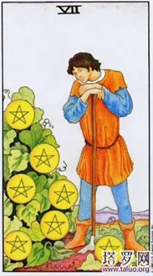 塔羅牌星幣七(正位/逆位)牌意解讀