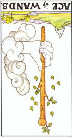 塔羅權杖一正位/逆位 愛情事業財運解讀