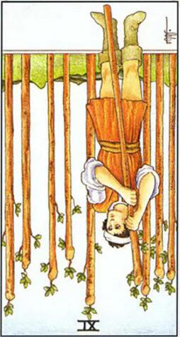 塔羅權杖九正位/逆位愛情事業財運解讀