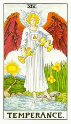 塔羅他是正緣還是孽緣,緣分還有多深