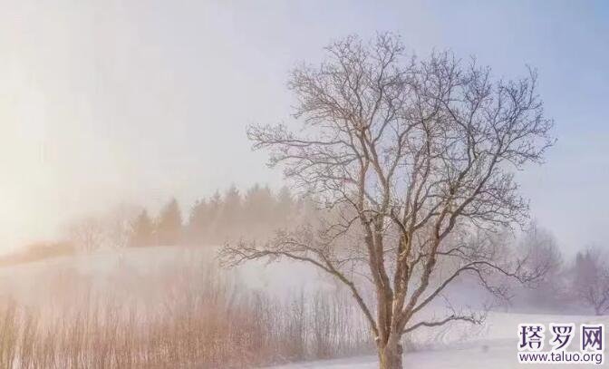 四季牌陣怎么解讀?四季牌陣準嗎