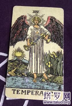 塔羅他為什么不理我，感情危機如何化解