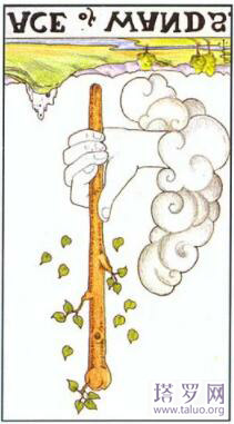 塔羅另一半什么時候遇見,為什么你還沒有遇見他