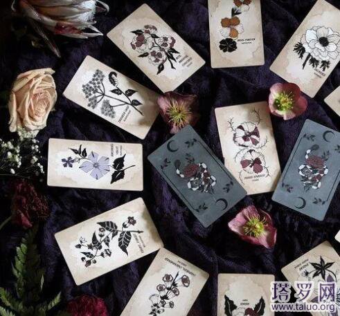 塔羅牌初學者用哪種好