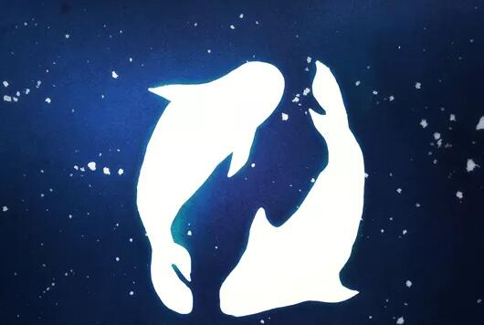 不能看雙魚座的眼睛