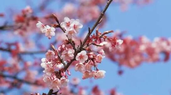 對付天蝎男必勝狠絕招