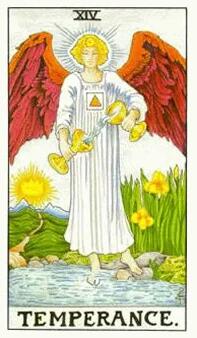 節制逆位牌代表什么意思