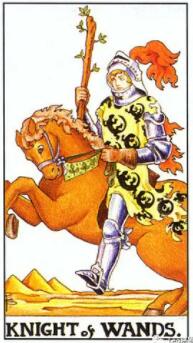 三個月內你會脫單嗎 塔羅牌（3）