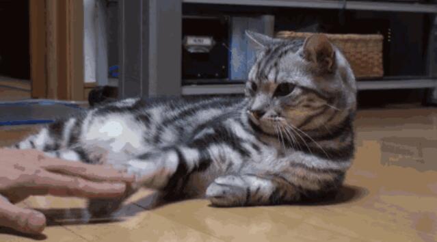 塔羅牌22張和78張哪個更準