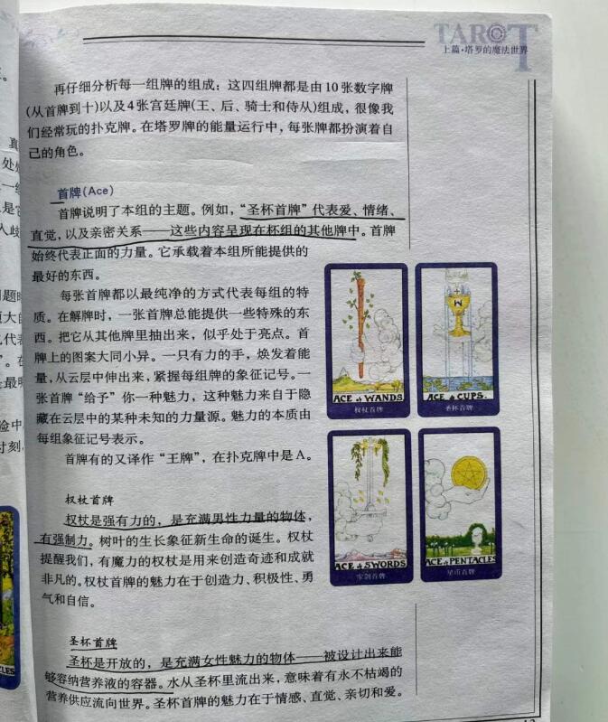 新手該如何自學塔羅牌
