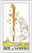 塔羅牌權杖牌組解析 塔羅牌權杖牌組圖片