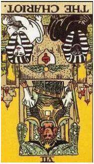 塔羅你單身的原因