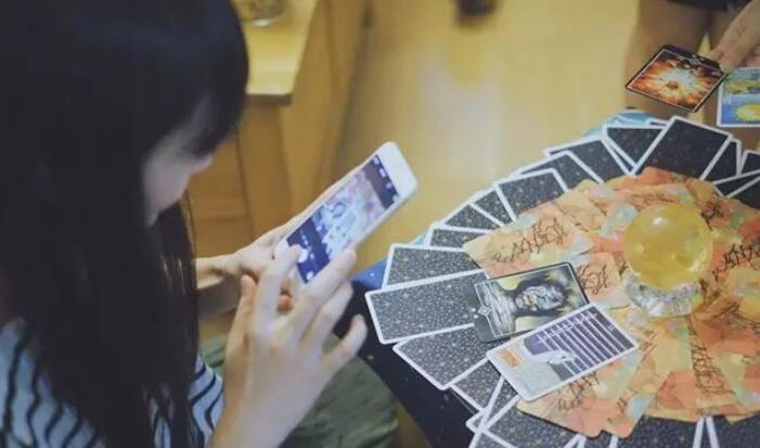 測試你的愛寵想要對你說些什么呢