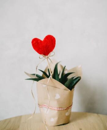 在一起后變化超大的星座是什么