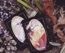 神諭卡和塔羅牌的區別