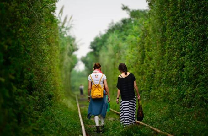 塔羅占卜心心念念的他愛我嗎